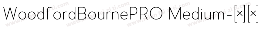 WoodfordBournePRO Medium字体转换